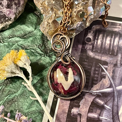Coyote Tooth in Copper