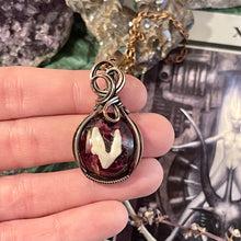 Coyote Tooth in Copper